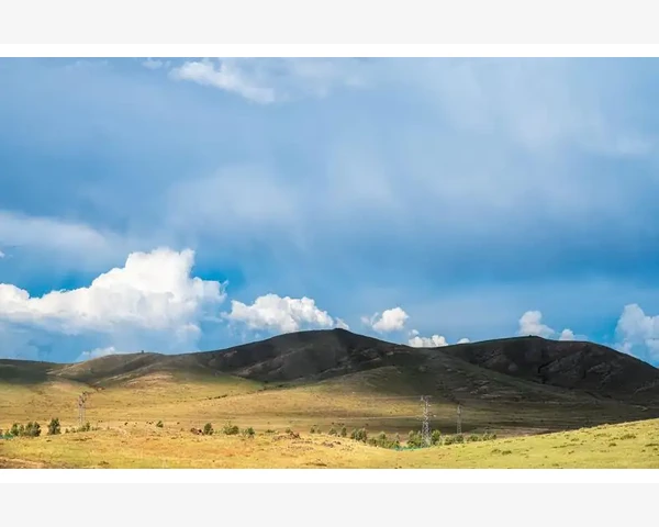 通过中医调理，了解脑血栓中吃什么是最有效的